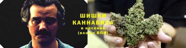 гидропоника Куйбышев