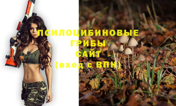 метадон Кукмор