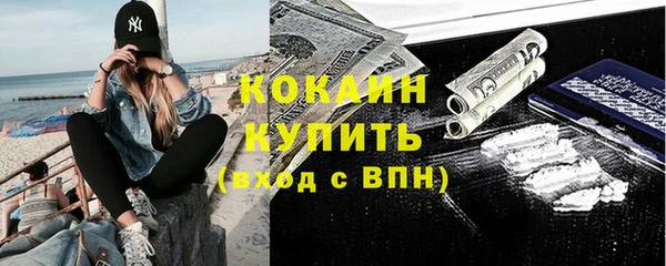 соль ск Кулебаки